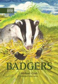 Badgers, by Michael Clark