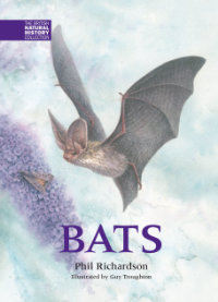 Bats, by Phil Richardson