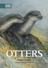 Otters, by Paul Chanin