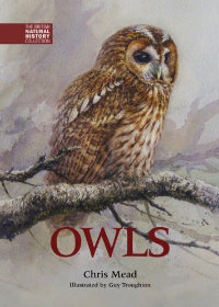 Owls, by Chris Mead