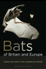 Bats of Britain and Europe
