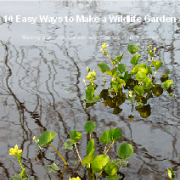 Free eBook 10 Easy Ways to Make a Wildlife Garden