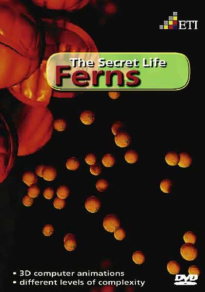 Ferns - The Secret Life