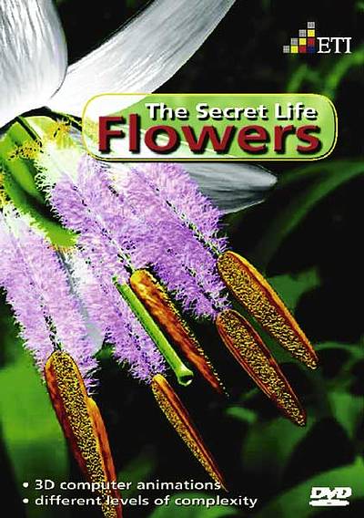 Flowers - The Secret Life