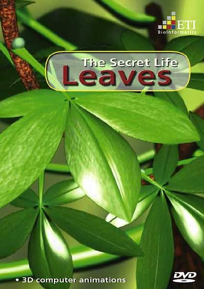 Leaves - The Secret Life