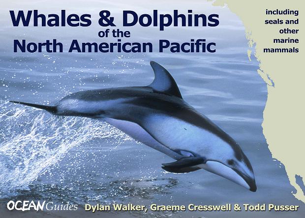 Whales and Dolphins of the North American Pacific