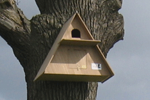 Barn Owl Box Camera Systems