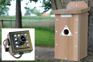 20m Wired Colour Bird Box Camera System Ultra HI-RES with Night Vision