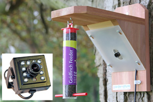 20m Wired Pro Colour Bird Feeder Camera System with Night Vision
