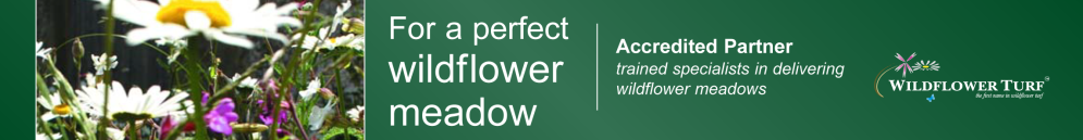 Accredited Partner Wildflower Turf