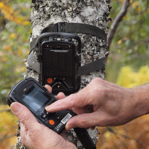 Acorn Trail Camera Hire