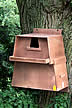 Barn Owl Nestbox