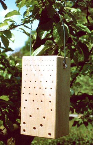 Insect Nesting Aid, Hardwood