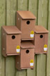 Modular Sparrow Nestbox