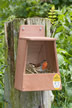 Robin & Spotted Flycatcher Nestbox