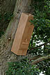 Tawny Owl Nestbox