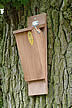 Treecreeper Nestbox