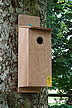 Woodpecker & Starling Nestbox