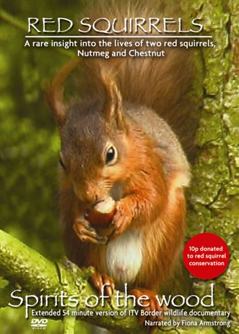 Red Squirrel DVD