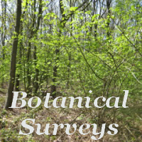 Botanical Surveys