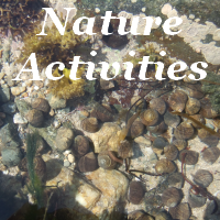 Nature Activities