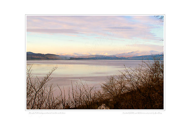 Beauly Firth in Winter