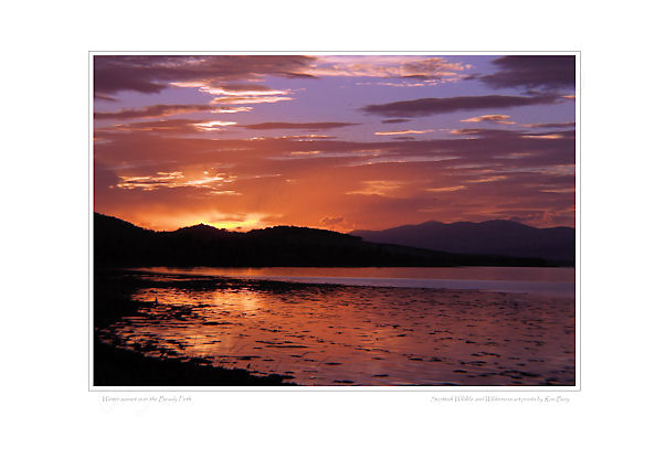 Beauly Firth sunset